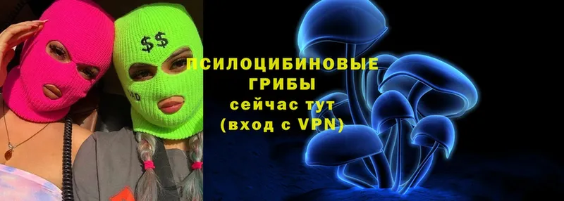 купить   Верхоянск  Галлюциногенные грибы Psilocybine cubensis 